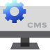 ASP.NET CMS development