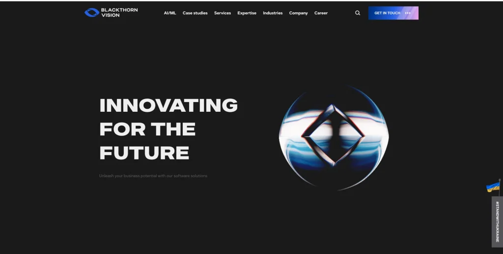 Blackthorn Vision .NET software development companies