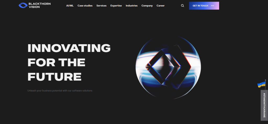 Blackthorn Vision .NET software development company
