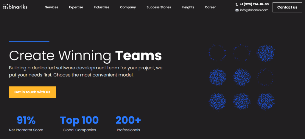 Binariks .NET software development company