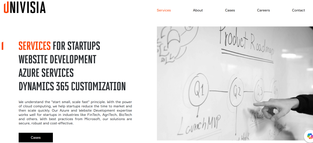 Univisia .NET software development company