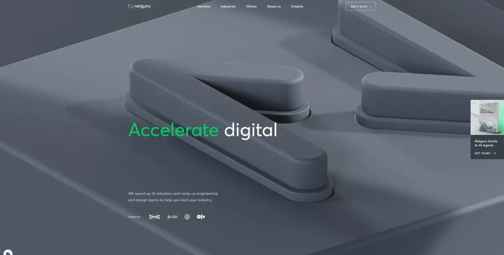 Netguru - European web development company