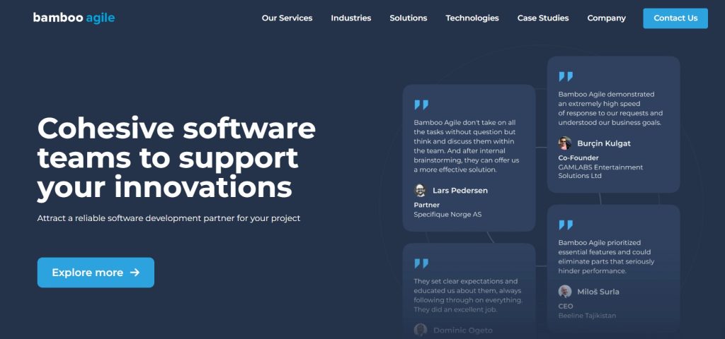 Choosing the best MVP development company - Bamboo Agile