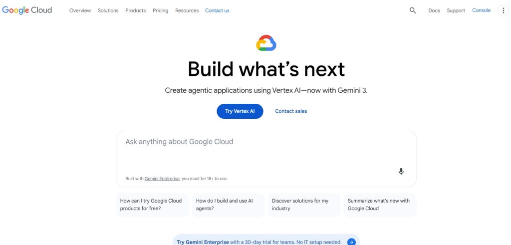 Computer Vision Development Company - Google (Cloud Vision AI)