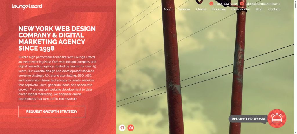 Web Development services - Lounge Lizard